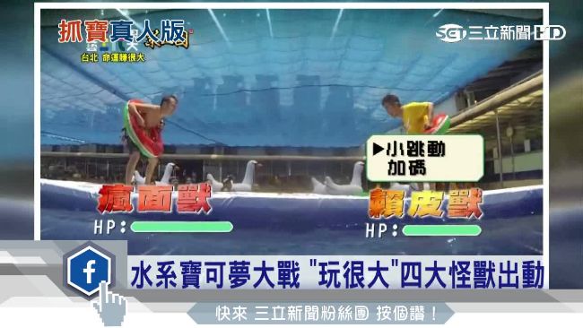 水系寶可夢大戰！《玩很大》四獸出動