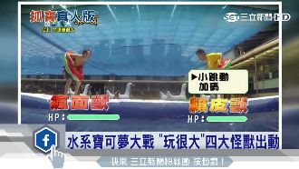 水系寶可夢大戰！《玩很大》四獸出動