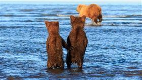圖／翻攝英國《地鐵報》