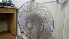 我家喵星人在哪？白貓化身忍者隱身電扇　網友：太狂
圖／翻攝自貓咪也瘋狂俱樂部https://www.facebook.com/groups/Crazymomi/permalink/1373262119359970/