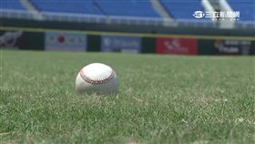 -棒球-國球-球場-職棒-