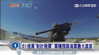 軍購61億買刺針飛彈　海軍最大贏家