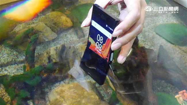 十月XZ登台　Sony目標非蘋第一