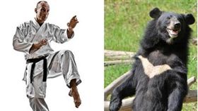 空手道,黑熊 圖／shutterstock／達志影像