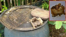 考蟾蜍吃、蟾蜍／komchadluek