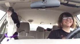 狗狗,汪星人,唱歌,https://www.facebook.com/melissa.mourelatos?fref=ts