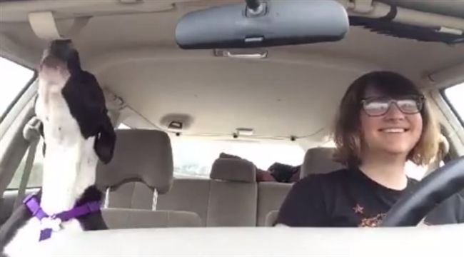 我是歌王！牠聽到音樂　立馬歡樂高歌