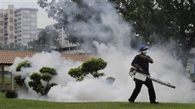 新加坡,印尼,茲卡,孕婦,傳染
圖／美聯社／達志影像