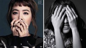 圖翻攝自蔡依林臉書 合成圖