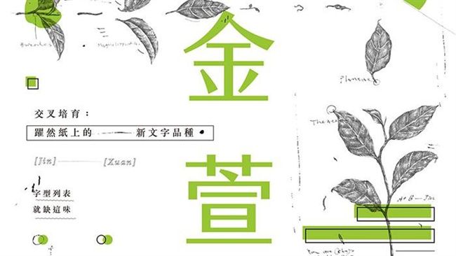 「愛台灣」金萱體問題多　官方急滅火