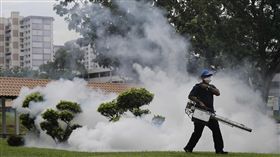 茲卡 新加坡

美聯社／達志影像