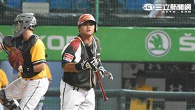 楊岱均 記者林敬旻攝