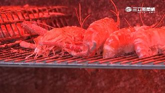 泰國蝦能不能吃？醫師建議別吃2部位