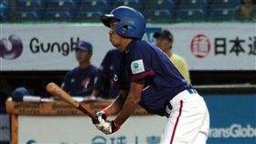 楊尚衛（圖／中華棒協提供）