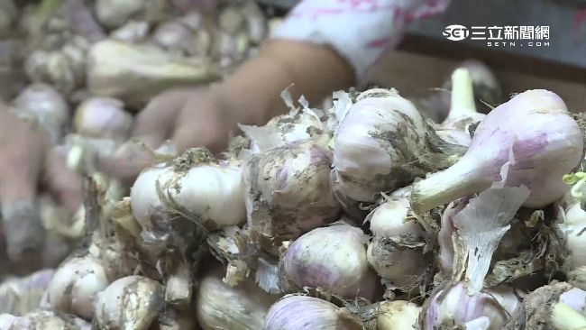 食物發芽該丟不丟？營養師幫你解惑