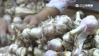 食物發芽該丟不丟？營養師幫你解惑