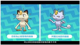 精靈寶可夢太陽／月亮　椰蛋樹　阿羅拉　崩壞　任天堂