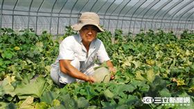 北海道「哈味」來襲　復興航空首推機上生鮮宅配