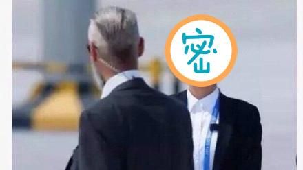 G20美女保鑣走紅　刷爆「朋友圈」