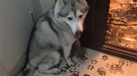 16:9
出門看電影　月月竟在家裡重新裝潢
圖／翻攝自imgur
http://imgur.com/gallery/Yg8hB