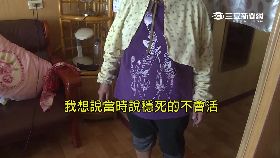 w撿海螺漂流1700