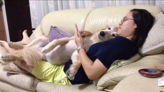 為阻止姊姊抓寶　狗狗這舉動萌翻啦！
