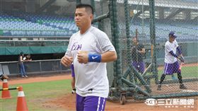 胡金龍 義大犀牛（陳怡汝攝）