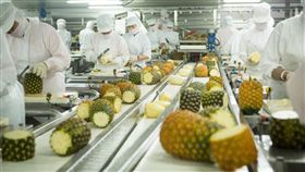 鳳梨酥,鳳梨／微熱山丘臉書專頁