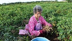 (名家)環境資訊中心