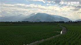 台東縱谷,池上,伯朗大道