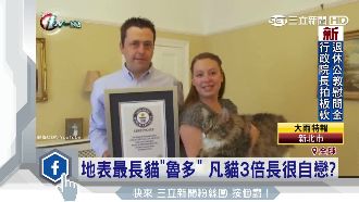 2017金氏紀錄出爐　讓人傻眼噴飯