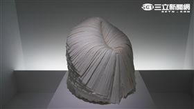 nendo : looking through the window　松菸　台灣創意設計中心