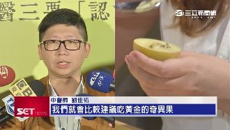 中醫打破迷思　經期可吃紐西蘭奇異果