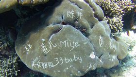 陸客遊峇里島下海潛水　珊瑚礁上亂刻字「美女姐姐」／臉書OK Divers