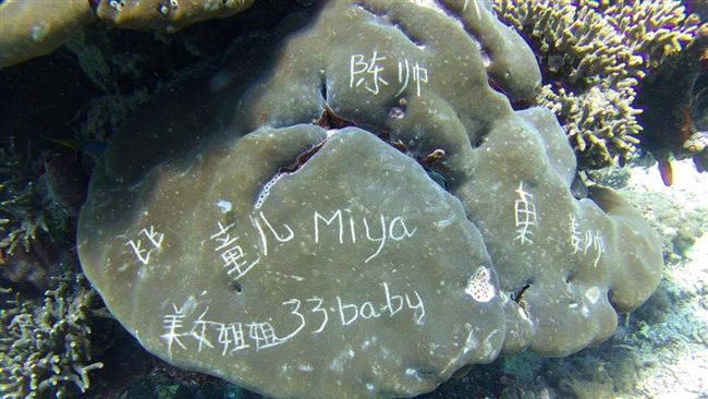 陸客超狂行徑　峇里島珊瑚礁上亂刻字