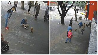 狗狗絆倒老太太沒肇逃　坐等警察辦案