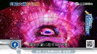 柏林IFA科技盛事　比拚電視吸睛度