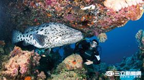 一生至少要去一次！年度世界最佳旅遊目的地　大堡礁奪冠