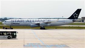 星空聯盟。（圖／翻攝自維基百科）