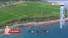 搶救海岸線(總編輯觀點)