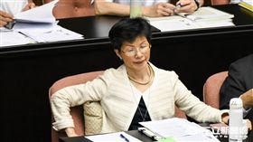 陸委會主委張小月 圖／記者林敬旻攝