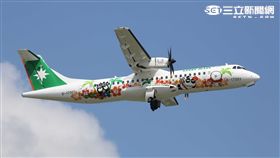 立榮航空酷企鵝彩繪機。（圖／立榮提供）