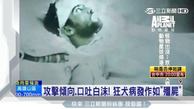致死率百分百！狂犬病成現代殭屍毒