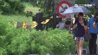 颱風天不泛舟了　民眾無視封鎖線抓怪