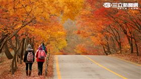 韓國賞楓：全羅北道內藏山。（圖／韓國觀光公社提供）