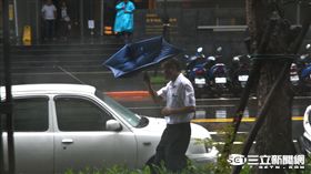 下雨,颱風天,颱風,風雨,颱風假,颳風,雨傘,開花 圖／記者林敬旻攝
