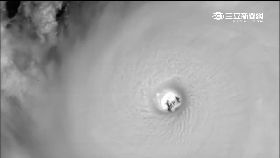 國際莫蘭蒂1100.