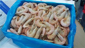 秋節前食安大掃蕩　白蝦竟過期11年