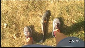 鯰魚 圖/翻攝自ABC NEWS 16:9