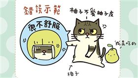 貓咪-黃阿瑪的後宮生活-http://www.ettoday.net/news/20160914/775752.htm